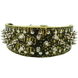   Croc Leather Spiked Dog Collar 2 Wide, 40 Large Spikes