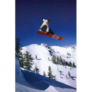 Sport Posters Snowboarder   Snowboarder Poster   91x61cm Collections 