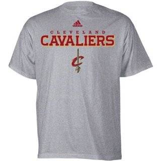 Cleveland Cavaliers Grey adidas True T Shirt