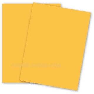 Wausau Paper Astrobrights Colored Card Stock, 65 lb, Letter, Galaxy 