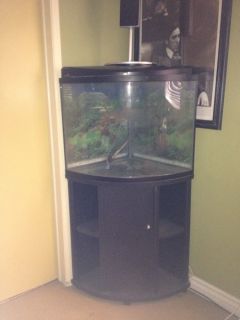 40 Gallon Odyssea Bow Front Glass Aquarium Fish Tank with Stand Corner