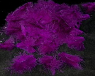 100 Medium Purple Turkey Marabou Fluff Feathers 1 3"