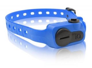 Dogtra IQ No Bark Dog Pet Control Shock Vibration Collar Blue IQ Bark Blu