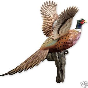Ring Necked Pheasant Flying Wall Mount Sculpture