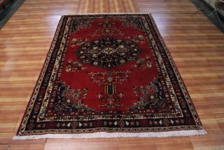 Traditional 5'8 x 7'9 Hand Knotted Rust Ivory Wool Area Rug Sirjan