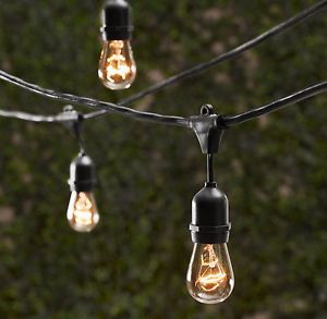 Vintage Patio Globe String Lights Black Cord 12 Clear Glass Bulbs 30' in Length