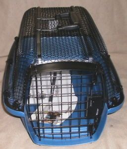 New Petmate Look N' See Cat Dog Crate Carrier Kennel Tote 19"