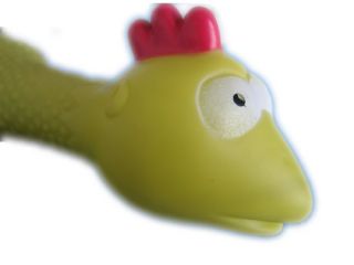 Pet Dog Cat Chew Squeaky Rubber Duck Chicken Toys