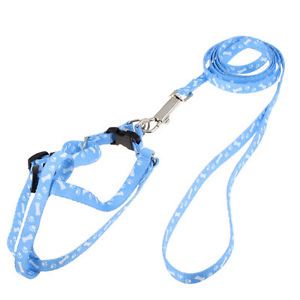 M Size 1 18M Lead Bone Print Doggie Dog Collar Halter Harness Leash Baby Blue