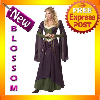 C639 Lady in Waiting Renaissance Medieval Fancy Dress Halloween Costume