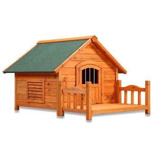 Brand Name New Porch Pups Dog House Large Home Hut Cute Style Puppy Dogs