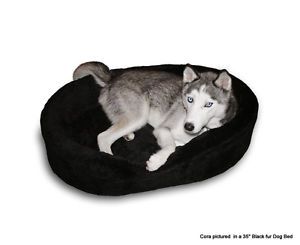 Extra Large Dog Bed