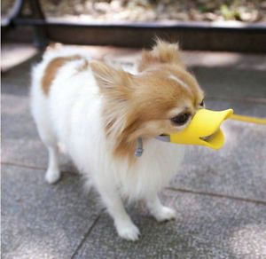 Pet Product Dog Muzzle Duckbill Muzzle Adjustable Duck Face Lip Mouth Cute Funny