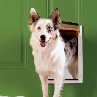 PetSafe Locking Extreme Weather Dog Cat Pet Door Medium PPA00 10985