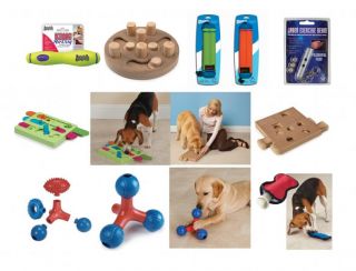 Interactive Dog Toys