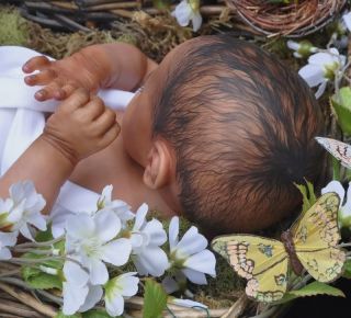 Alla's Babies Beautiful Reborn Baby Doll Ellis Tina Kewy 309 650 Painted Hair