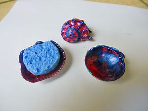 4 PC Hermit Crab Shell Set House Shell Food Dish Water Bowl Sponge Pink Blue