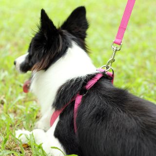 Rose Easy Walk Pet Dog Harness Leader with Pull Free Leashes Size M