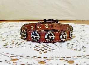 Western Style Genuine Leather Dog Collar with Longhorn Conchos