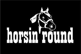 Quarter Horse Head Horsin'Round Equestrian Car Window Laptop Trailer Decal