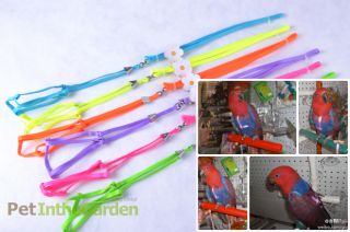 Parrot Harness Leash Adjustable Multicolor Light Soft Fashion Large Medium Bird