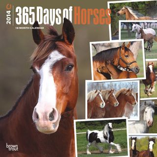 365 Days of Horses 2014 Wall Calendar