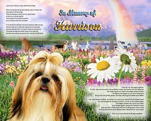 Shih Tzu Dog Memorial w Name Rainbow Bridge Poem Personal Unique Pet Loss Gift