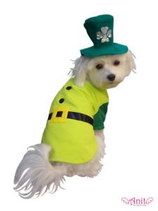 St Patrick's Green Irish Lucky Leprechaun Dog Boy Pet Dog Halloween Costume S