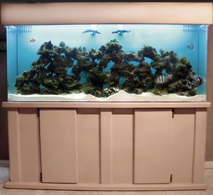 150 Gal Marine Ocean Saltwater Aquarium Reef Wet Dry Fish Tank Local L A Pickup