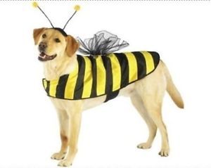 Adult Bumble Bee Halloween Costume