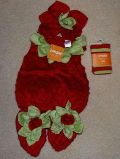 Gymboree Baby Girl's 6 12 Months 4 PC Strawberry Fruit Halloween Costume