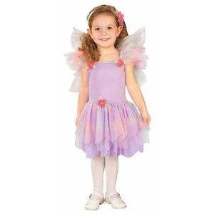 Butterfly Fairy Princess Halloween Costume Girls Kids Toddler Size Small 2 4