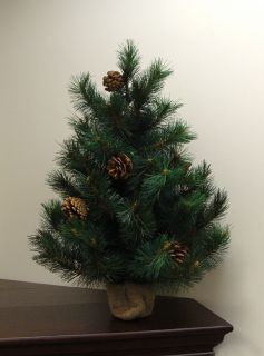 2' Royal Oregon Long Needle Pine Artificial Christmas Tree in Burlap Base Unlit