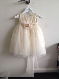 Baby Christening Flower Girl Wedding Party Dress Gown Organza Sz 1 Very Pretty
