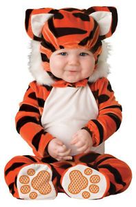 Tiger Tot Infant Toddler Baby Costume Feline Animal Safari Wild Halloween Party