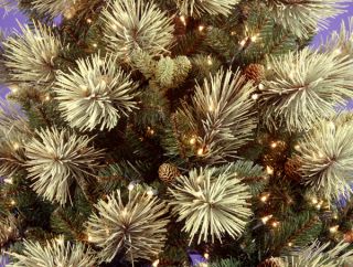 9' Clear Prelit Carolina Pine Artificial Christmas Tree