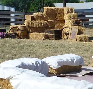 56 Hay Bale Covers Bail Country Wedding Muslin Pieces Straw Farm Seating Chair On Popscreen