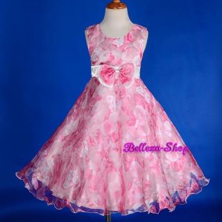 Pink Rose Floral Pattern Scoop Dress Flower Girl Pageant Party Size 3T FG242