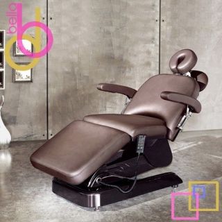 Salon Spa Table Facial Beauty Bed Hydraulic Electric Lift Chair Dentist Masters