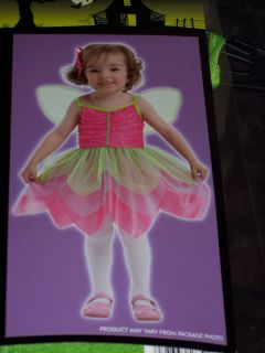 Garden Fairy Costume Toddler' Size 2 4T 4 6T Dress Up Children Theatre Dance