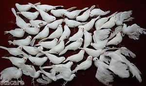 45 Christmas Ornament White Doves with Feathers Craft Weddings