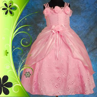 Pink Wedding Flower Girl Baby Formal Party Dress Size 0