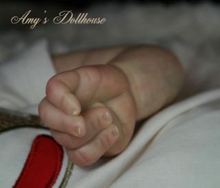 Amy's Dollhouse Lifelike Reborn Baby J Schenk"Cooper" MRMH A C Tummy Plate