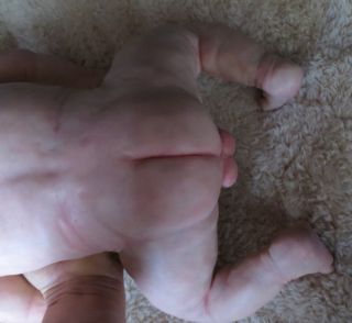 OOAK Full Size Full Body Newborn Polymer Clay Baby Boy Carol Kniesley Realistic