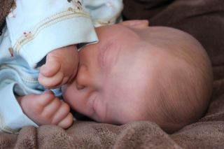 Babymine Nursery Letha Mellman Reborn Enchanting Baby Boy Donna Lee 177 OF450 Le