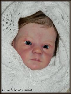 Brandaholic Babies Reborn Preemie Baby Girl Meredith by Bonnie Brown