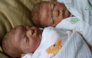 Reborn Micro Preemie Twins Bean Sprout Laura Lee Eagles Babies Lil' Beans Doll