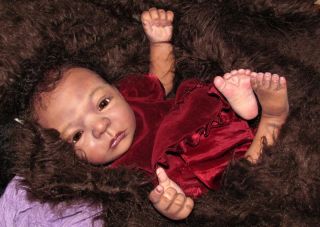 Reborn Baby Girl Baby Love Audis AA Ethnic Biracial Newborn Doll Art Le No Res