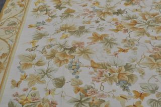 9'x12' Handmade All Over Foliage Grape Butterfly Wool Needlepoint Beige Area Rug