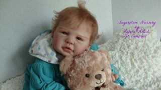 Sugarplum Nursery Reborn OOAK Baby Doll Skylar by Liz Campbell Extreme Realism